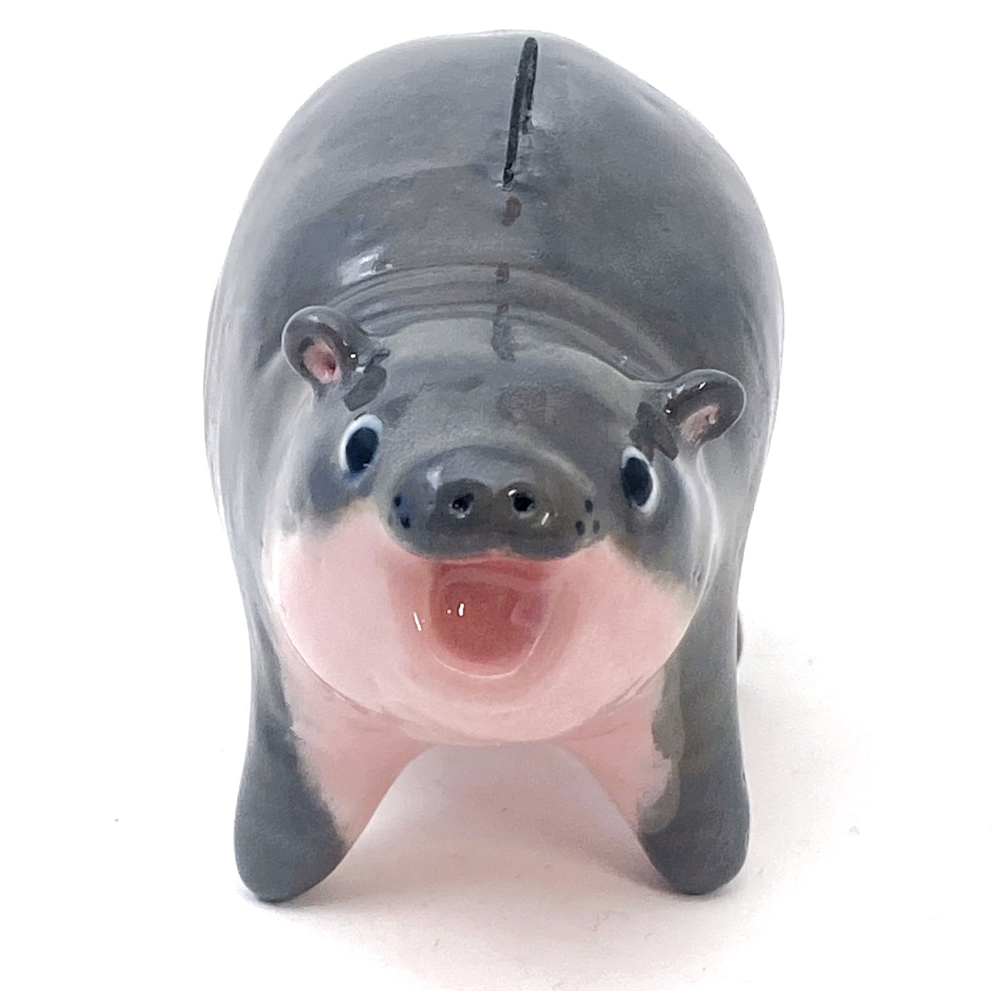 2.25” Baby Pygmy Hippo Preorder Free Shipping Continental US